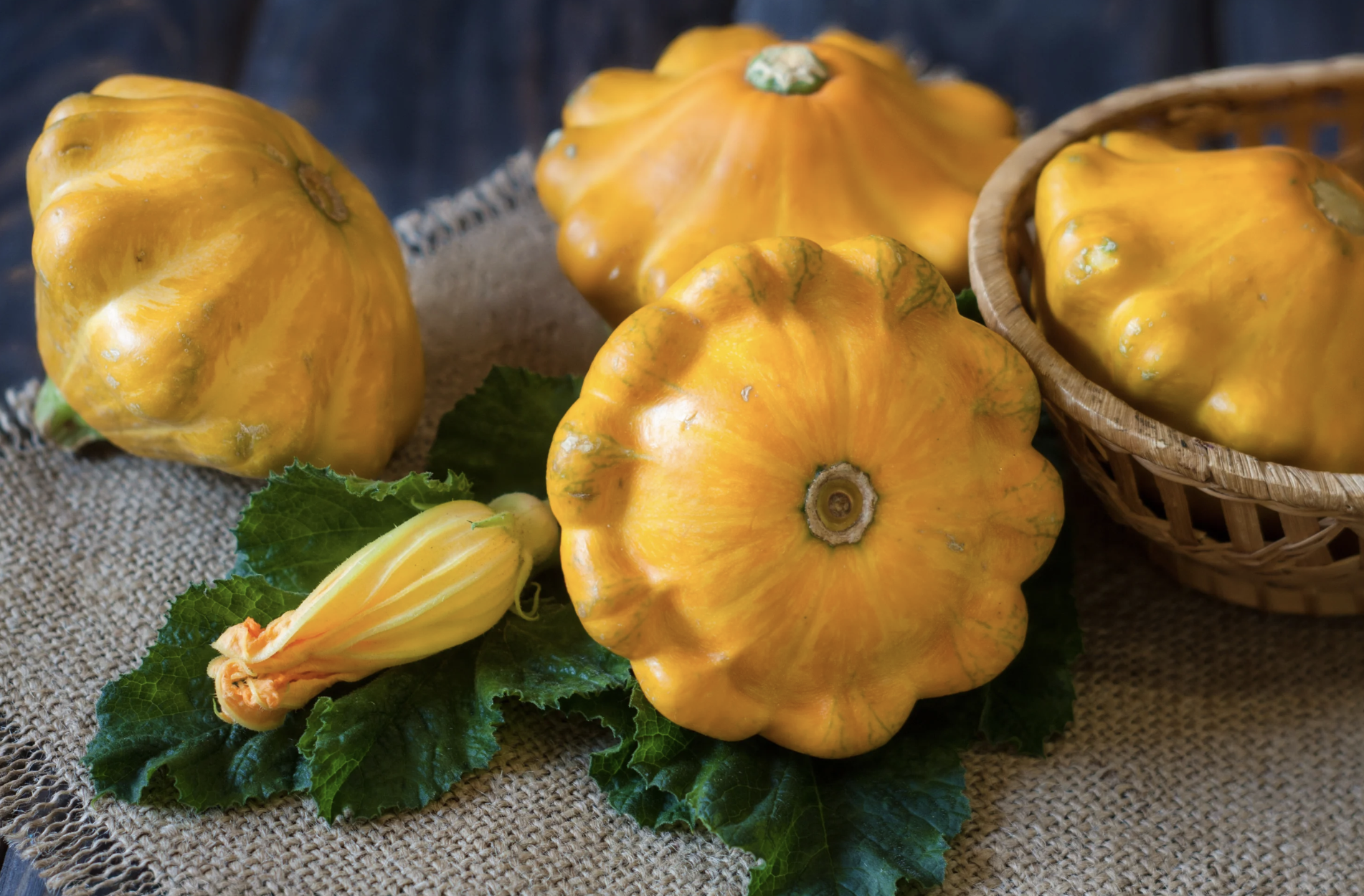 Sautéed Scallopini Squash with Parmesan
