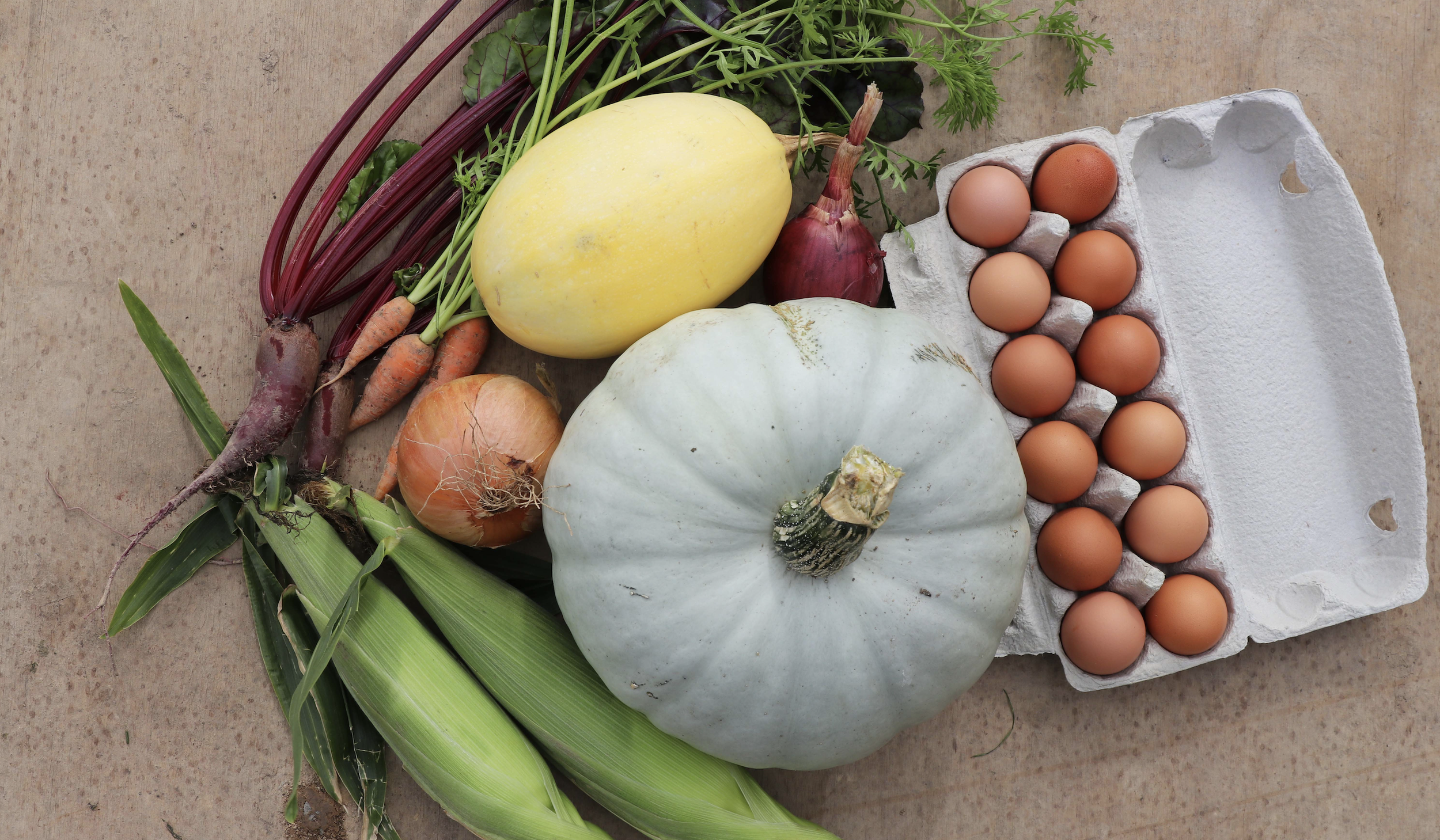 10-reasons-why-gmos-are-a-problem-for-aotearoa-03.png