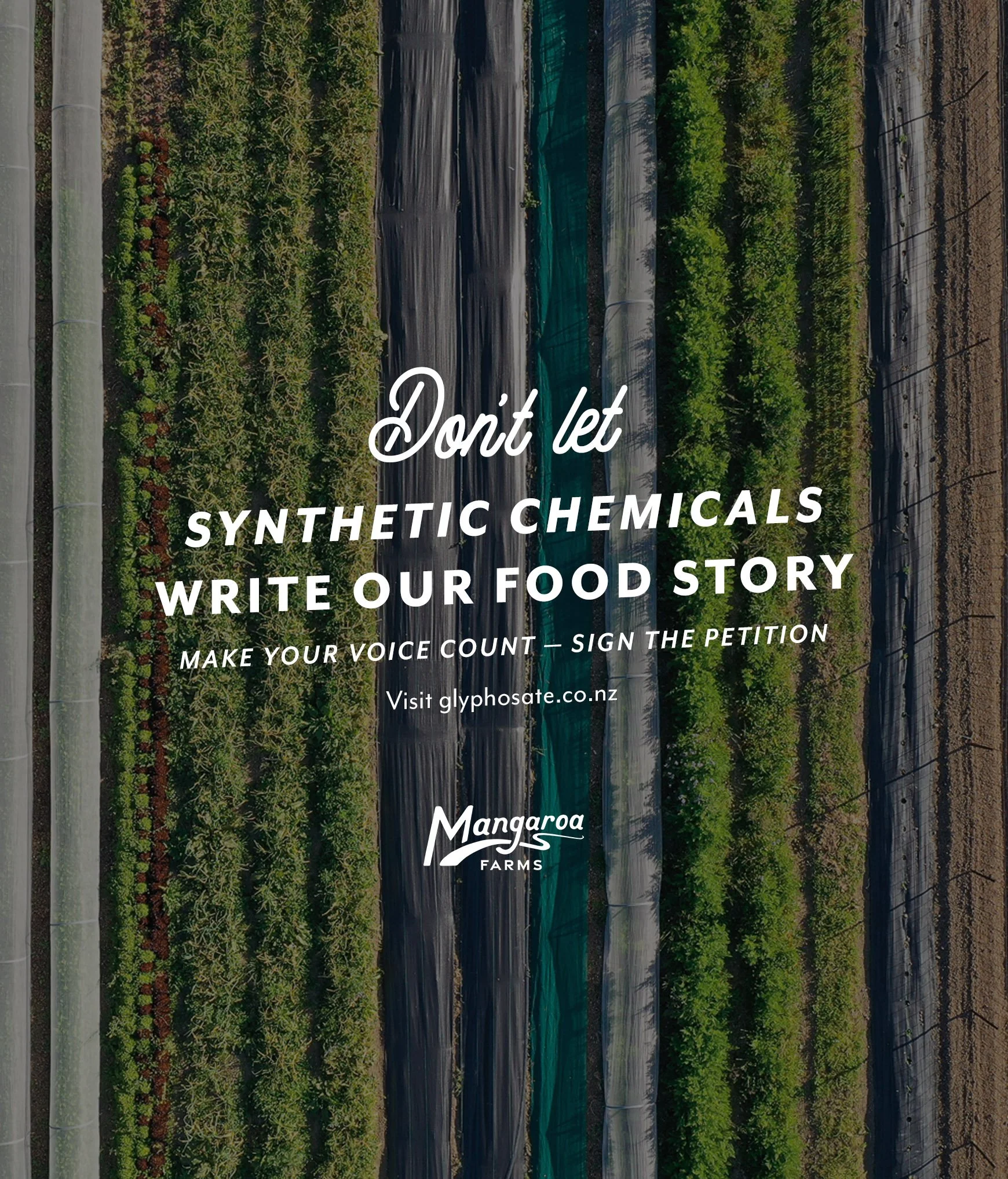 a-better-story-on-the-plate-gn52y-01.jpg