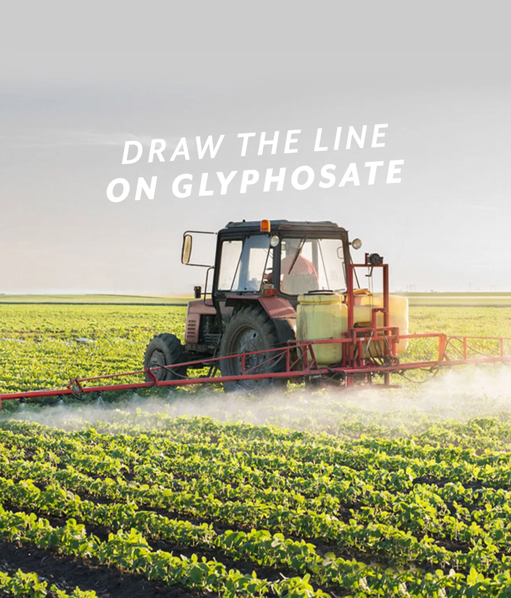 Draw the Line on Glyphosate
