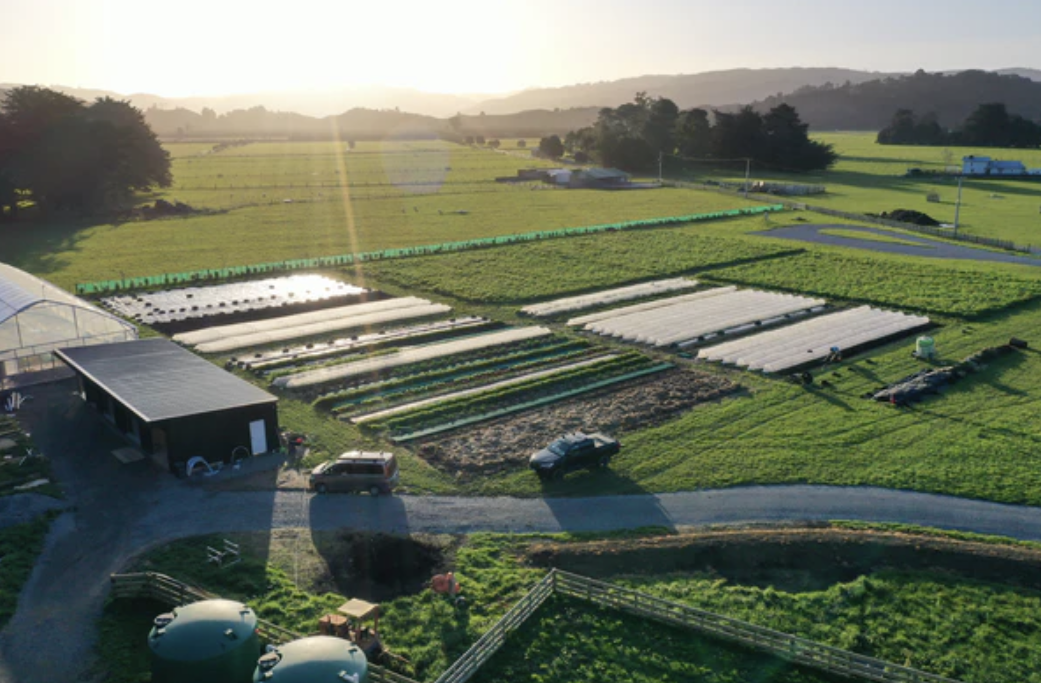 a-new-chapter-welcoming-our-first-ceo-to-mangaroa-farms-02.png