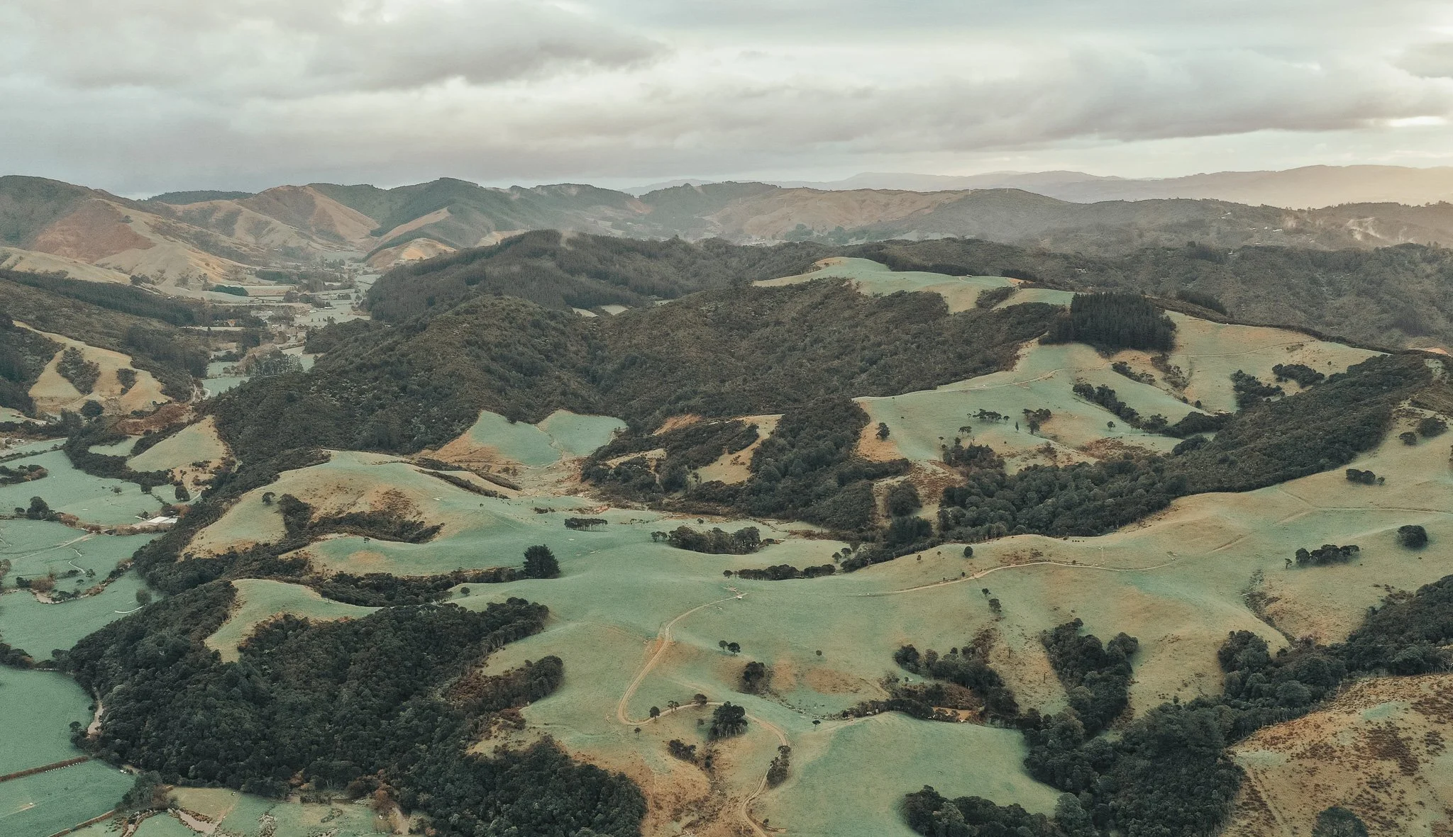 Mangaroa Farms to Purchase Berkett’s Farm in Whitemans Valley