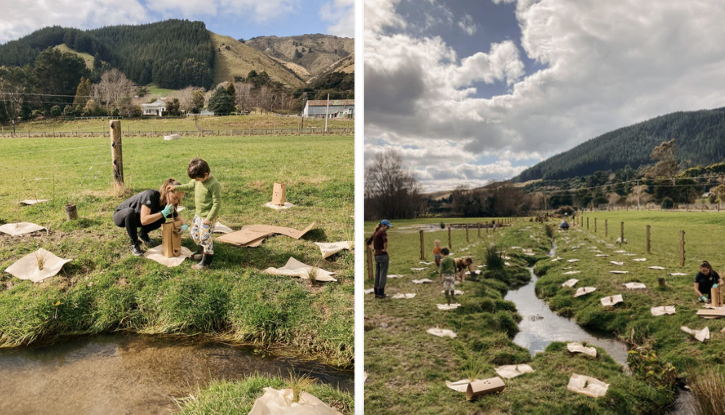 community-tree-planting-day-01.png