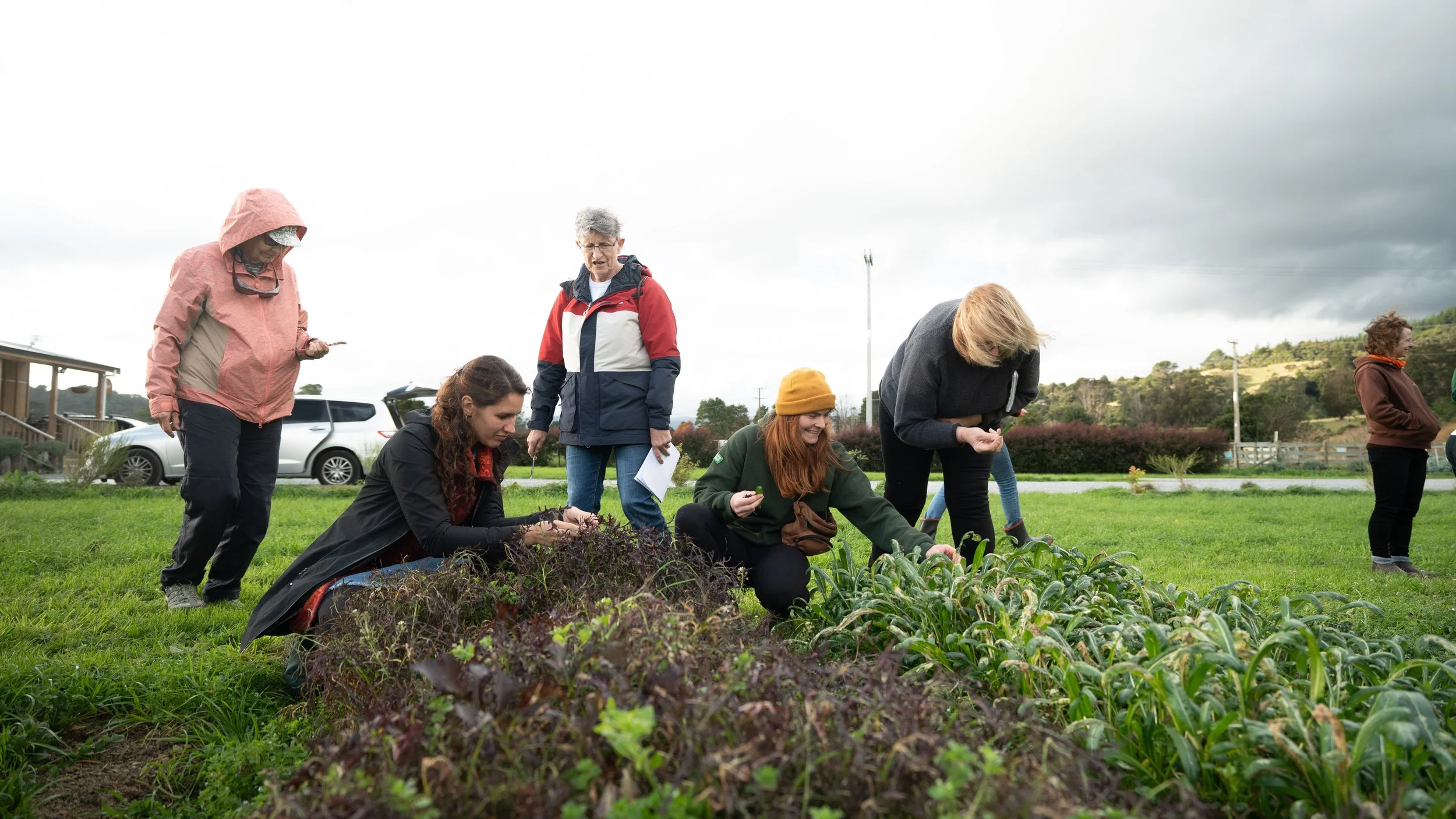 compost-awareness-day-01.jpg