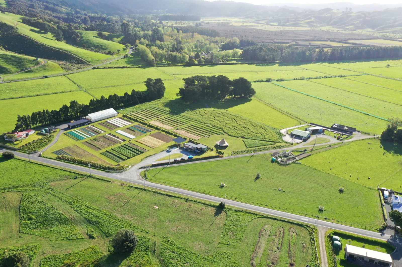 Aerial view of Mangaroa Farms pasture and valley