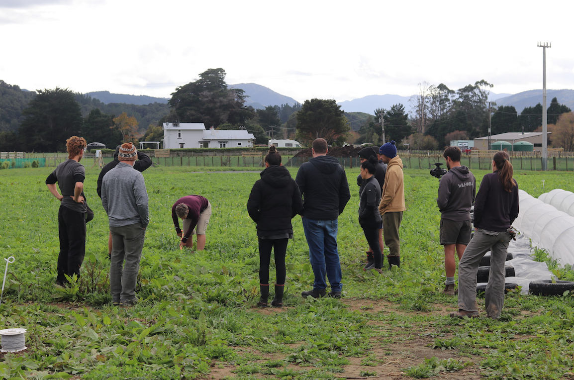 Friends of Mangaroa Farm Visit &#x1f331;