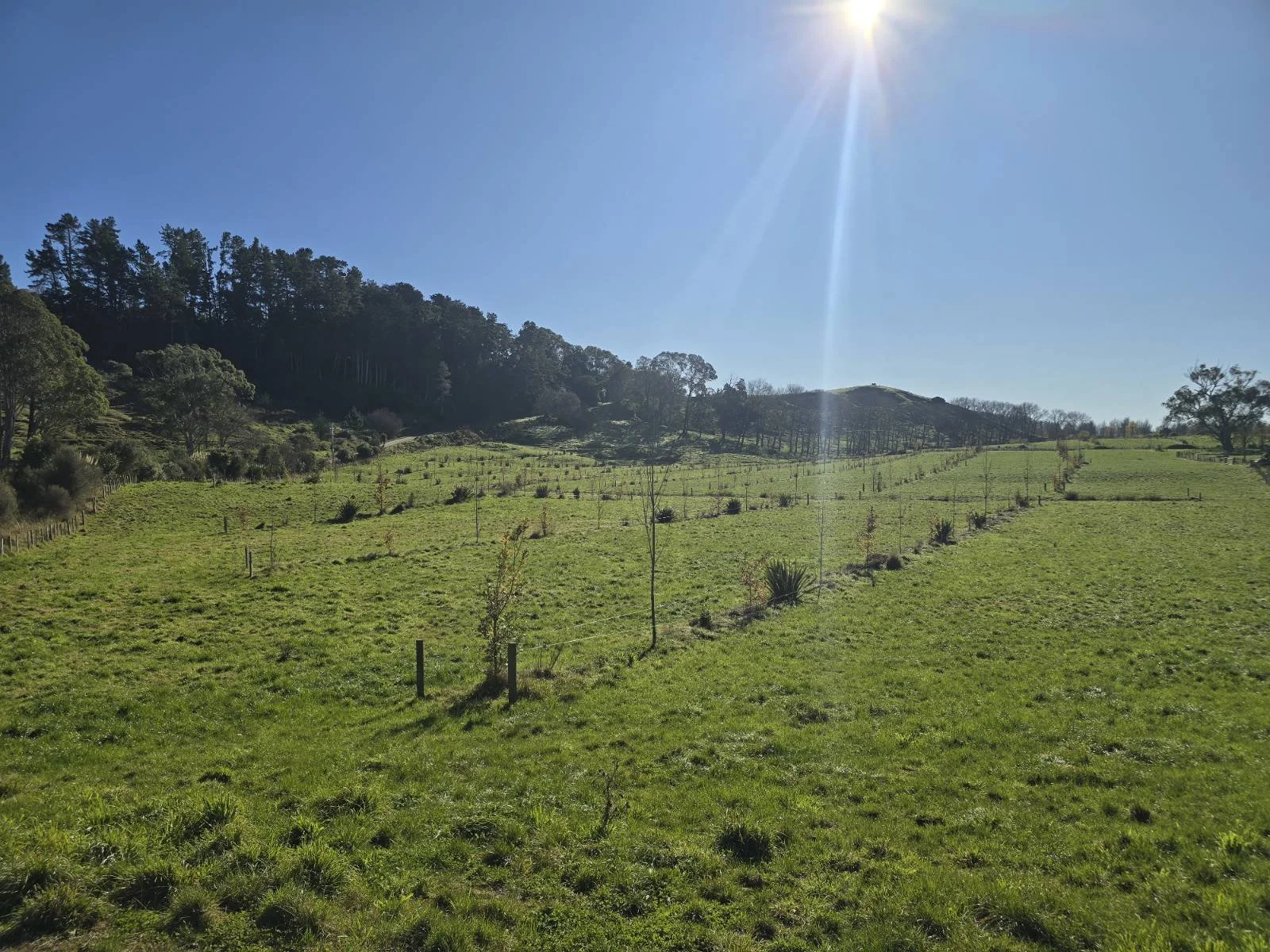 mangarara-farms-in-hawkes-bay-pioneers-of-regenerative-agriculture-01.jpg