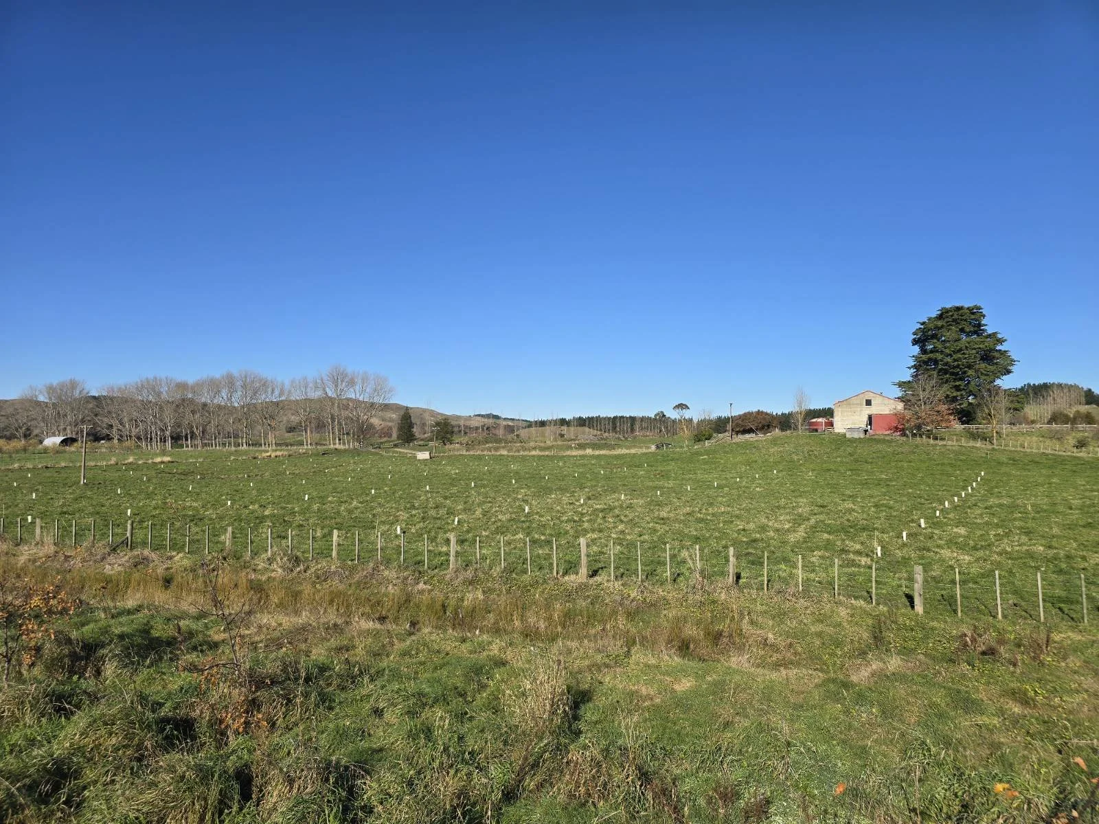 mangarara-farms-in-hawkes-bay-pioneers-of-regenerative-agriculture-02.jpg