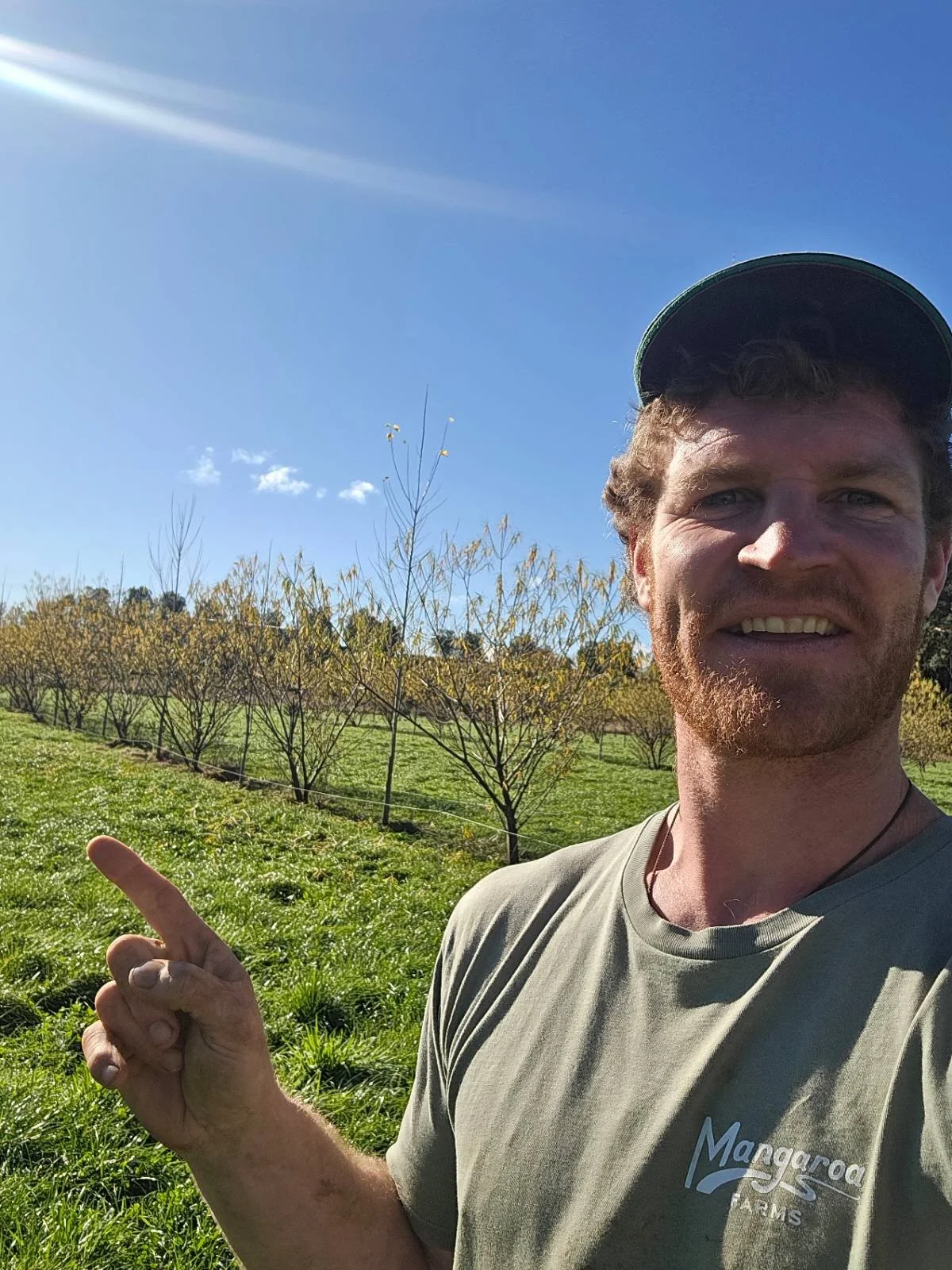 mangarara-farms-in-hawkes-bay-pioneers-of-regenerative-agriculture-03.jpg