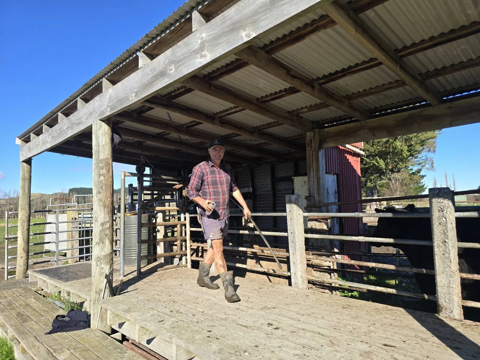 Mangarara Farms in Hawkes Bay: Pioneers of Regenerative Agriculture