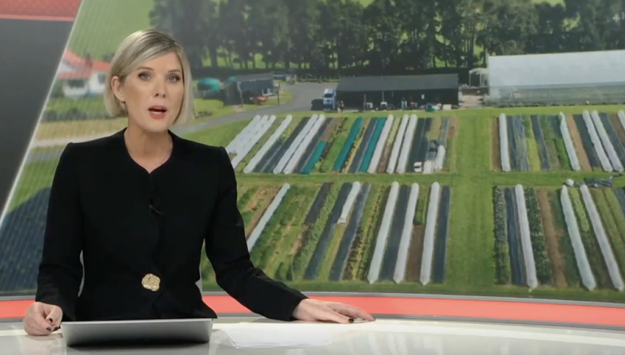 Mangaroa Farms Features on NewsHub