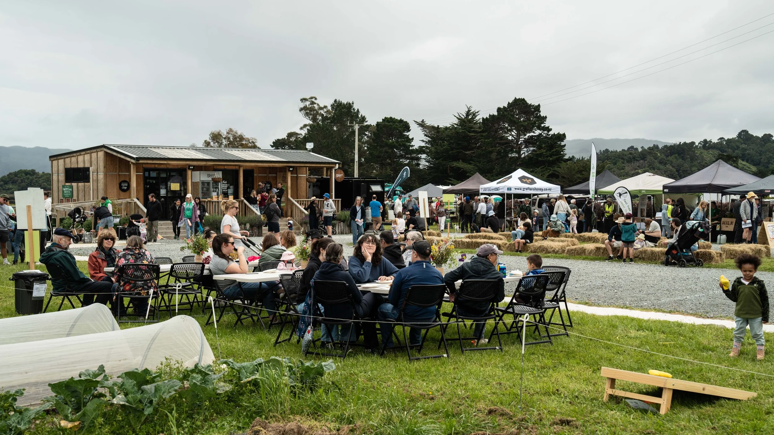 mangaroa-farms-open-day-nov-2024-01.jpg