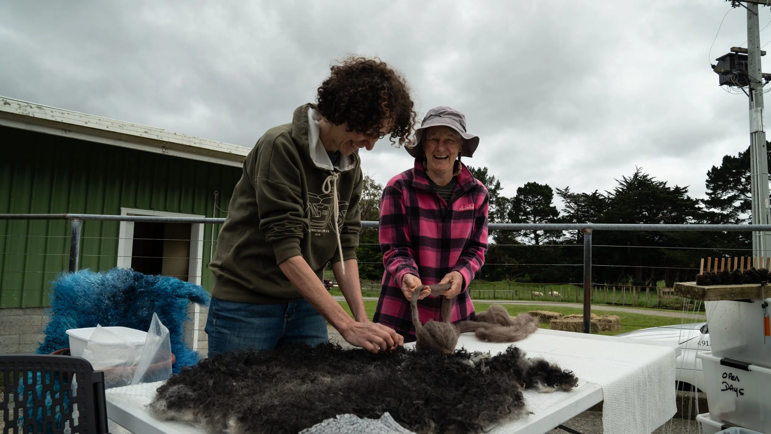 mangaroa-farms-open-day-nov-2024-04.jpg