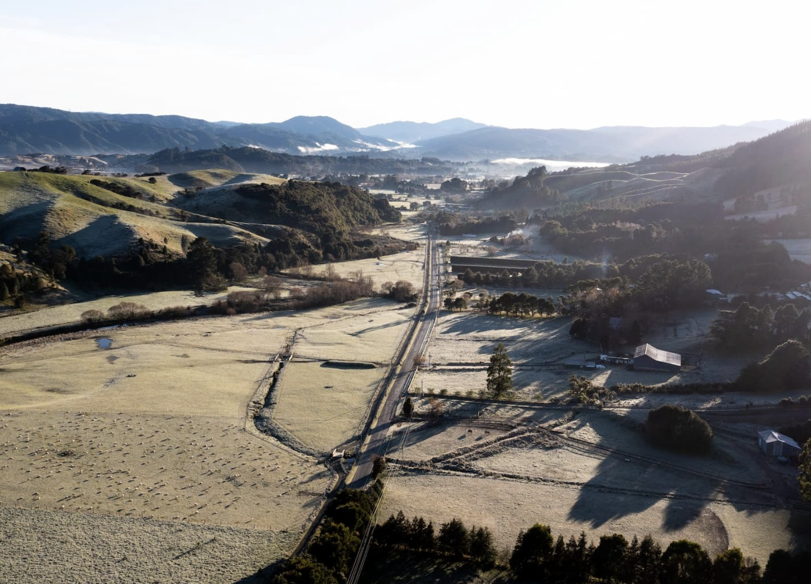 Roots & Renewal - May Newsletter 2026