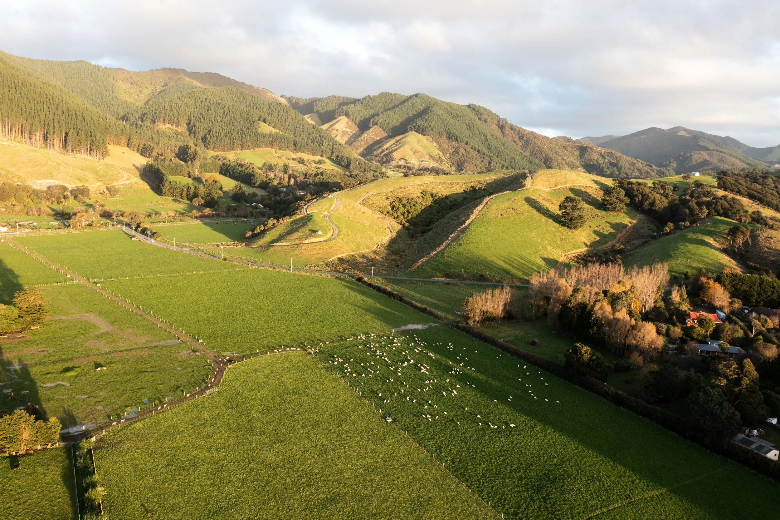 new-farm-roles-05.jpg