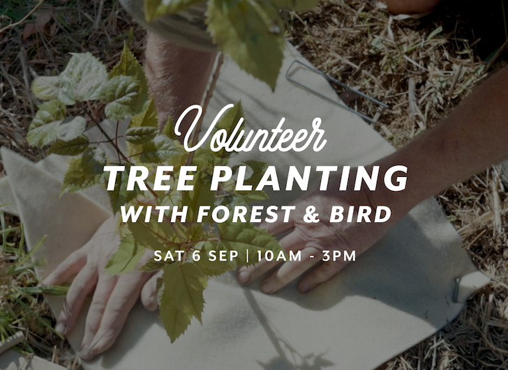 planting-trees-for-future-generations-01.png