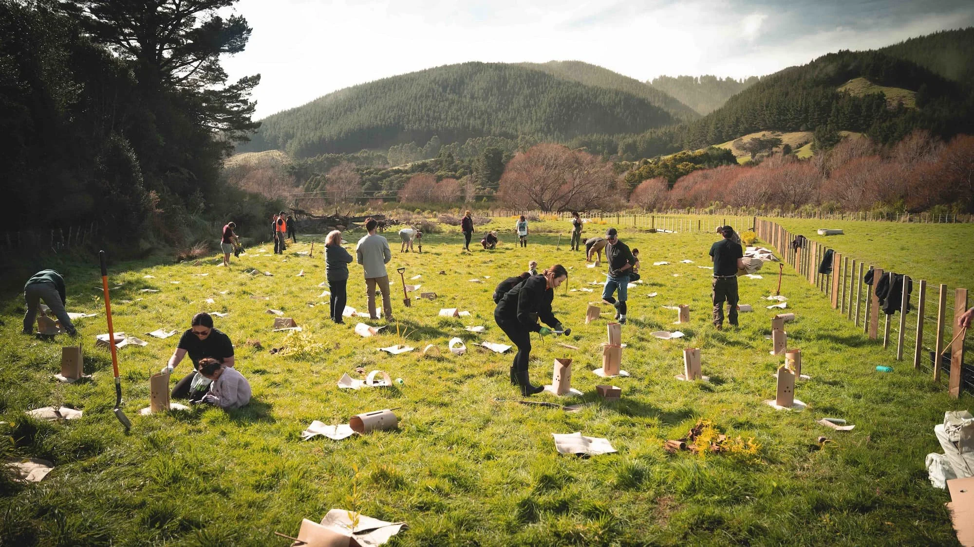 Planting Trees for Future Generations