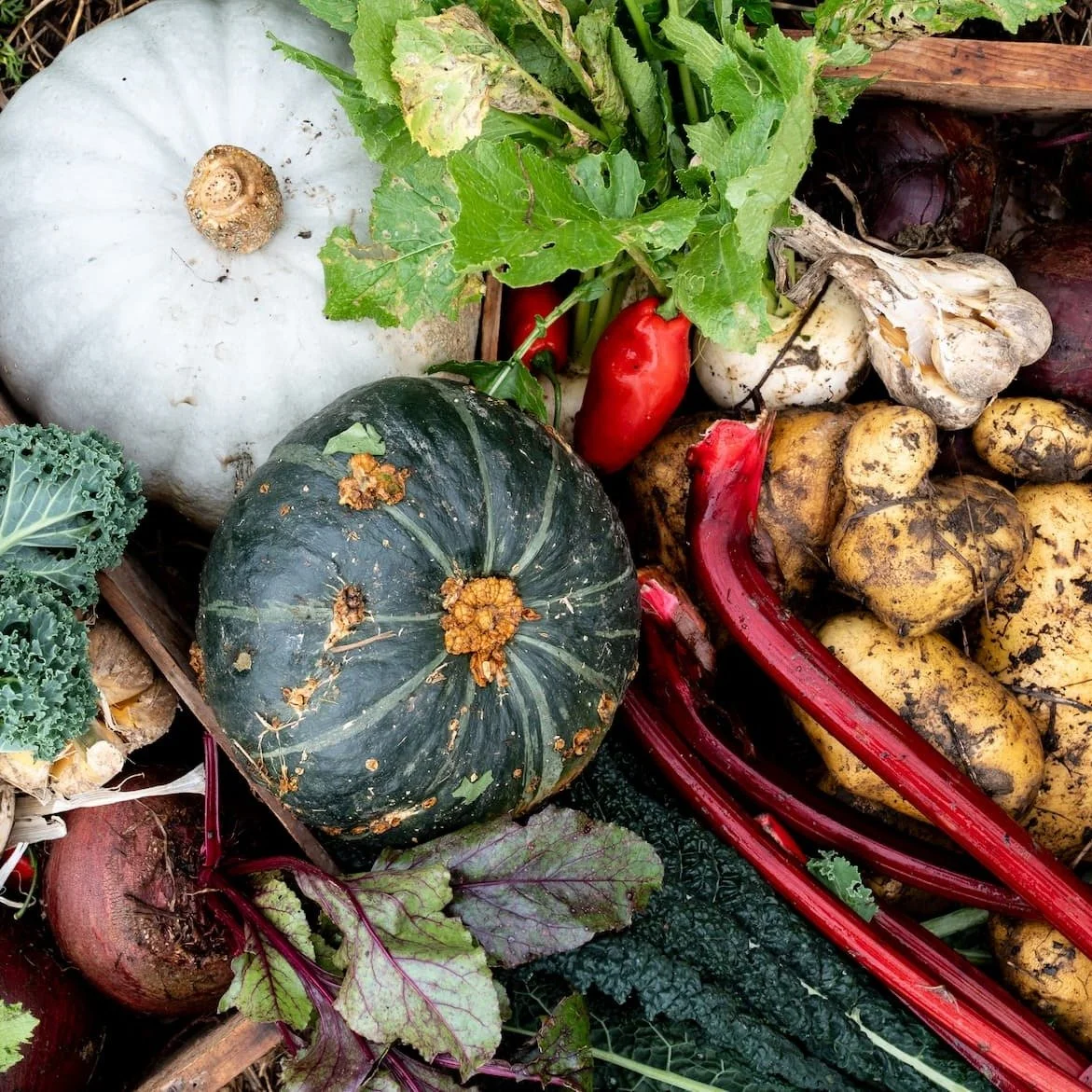 relocalising-food-april-newsletter-04.jpg