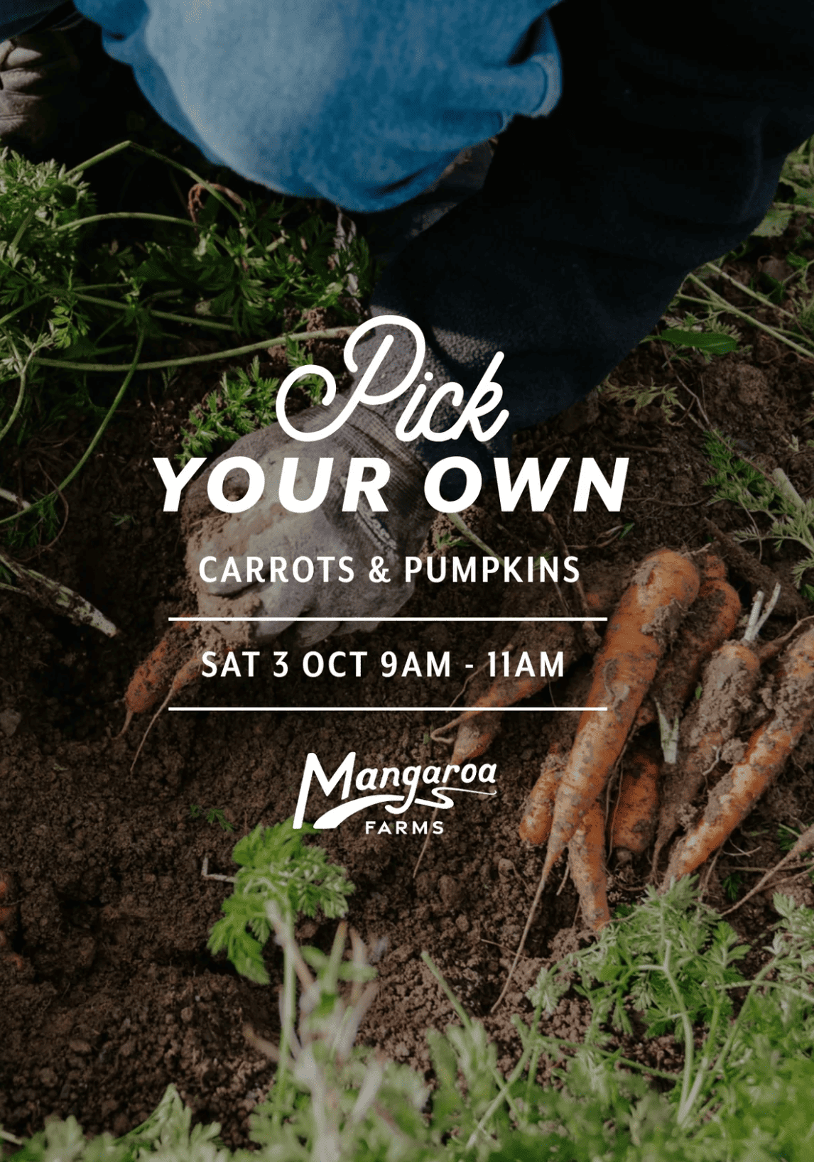 Pick Your Own Veges poster