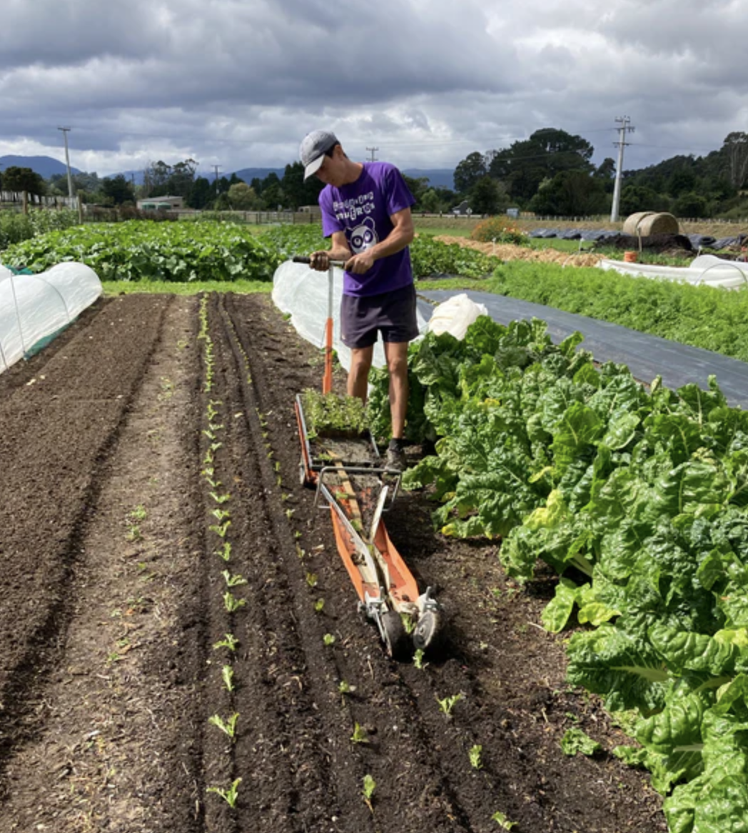 the-japanese-paperpot-transplanter-01.png