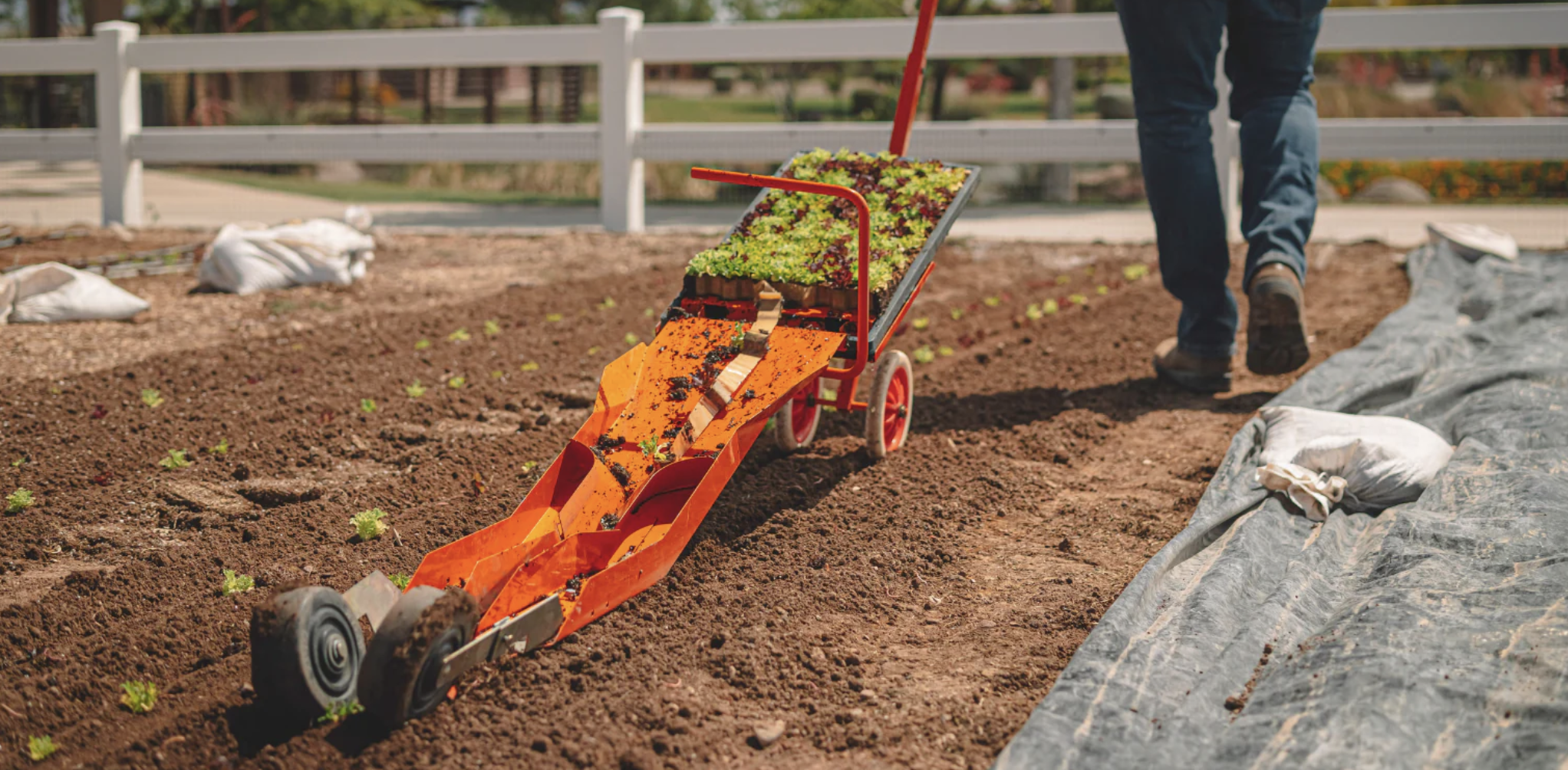 The Japanese Paperpot Transplanter