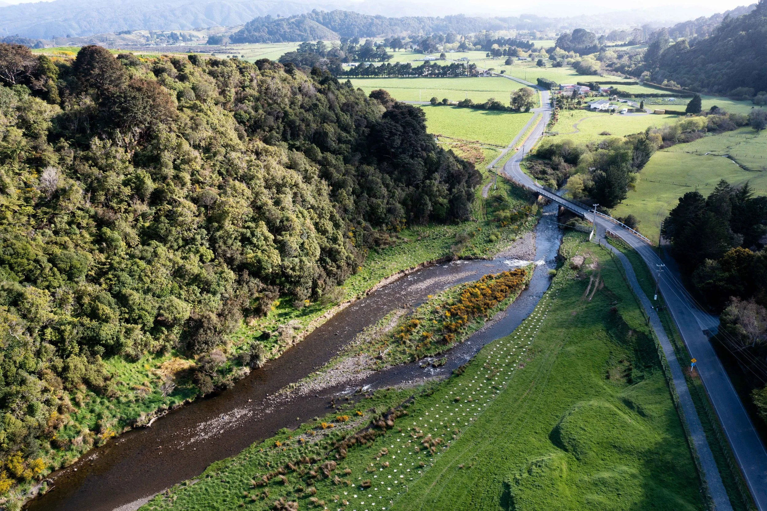tree-planting-along-the-mangaroa-river-03.jpg