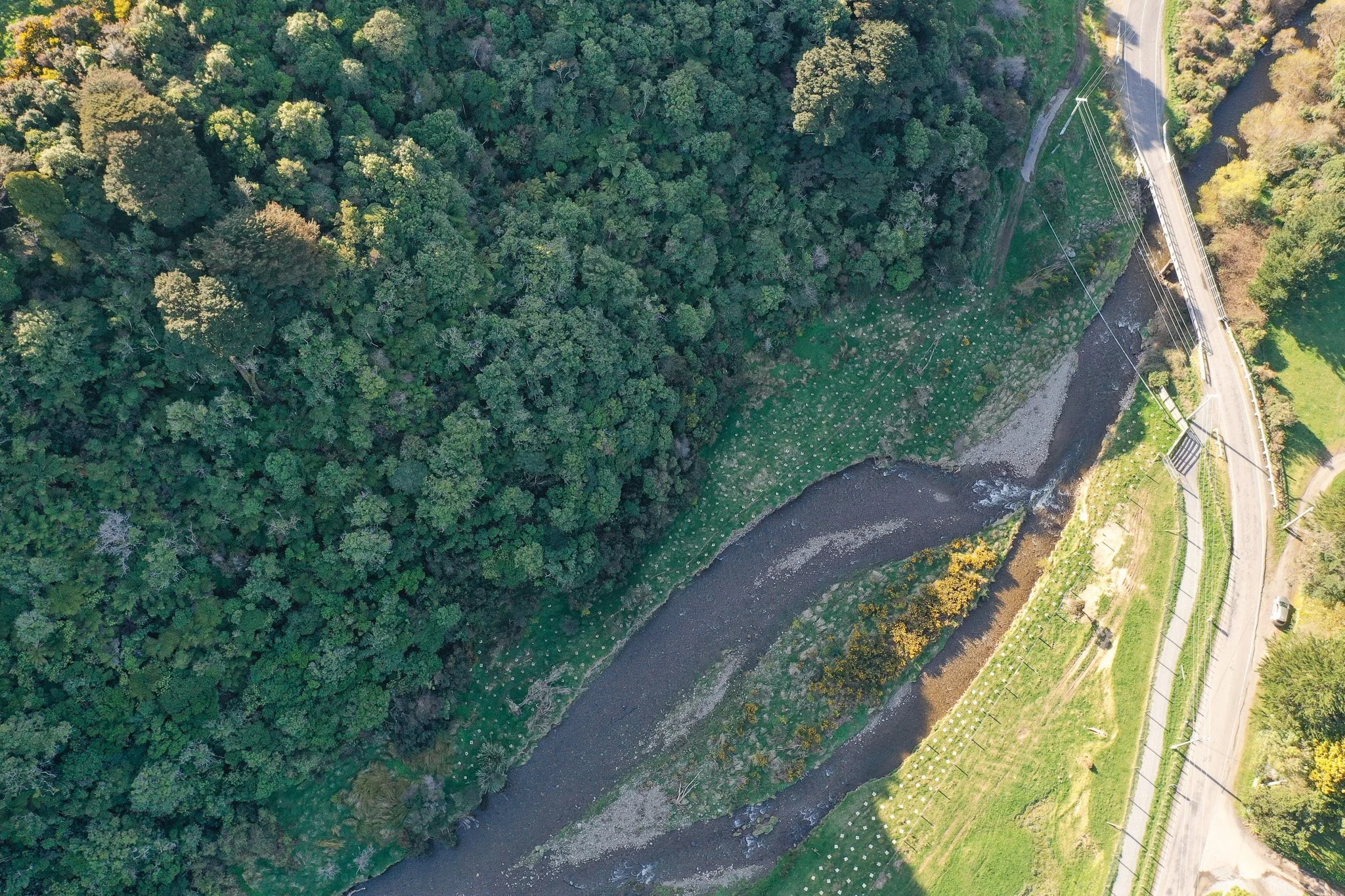 tree-planting-along-the-mangaroa-river-04.jpg
