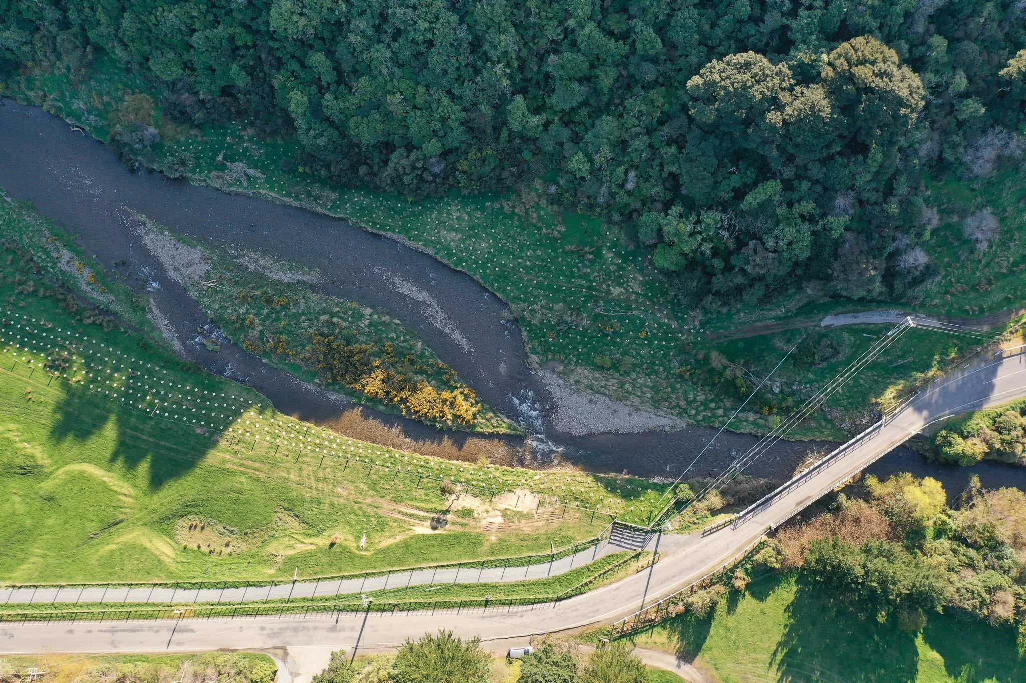 Tree Planting on the Mangaroa River