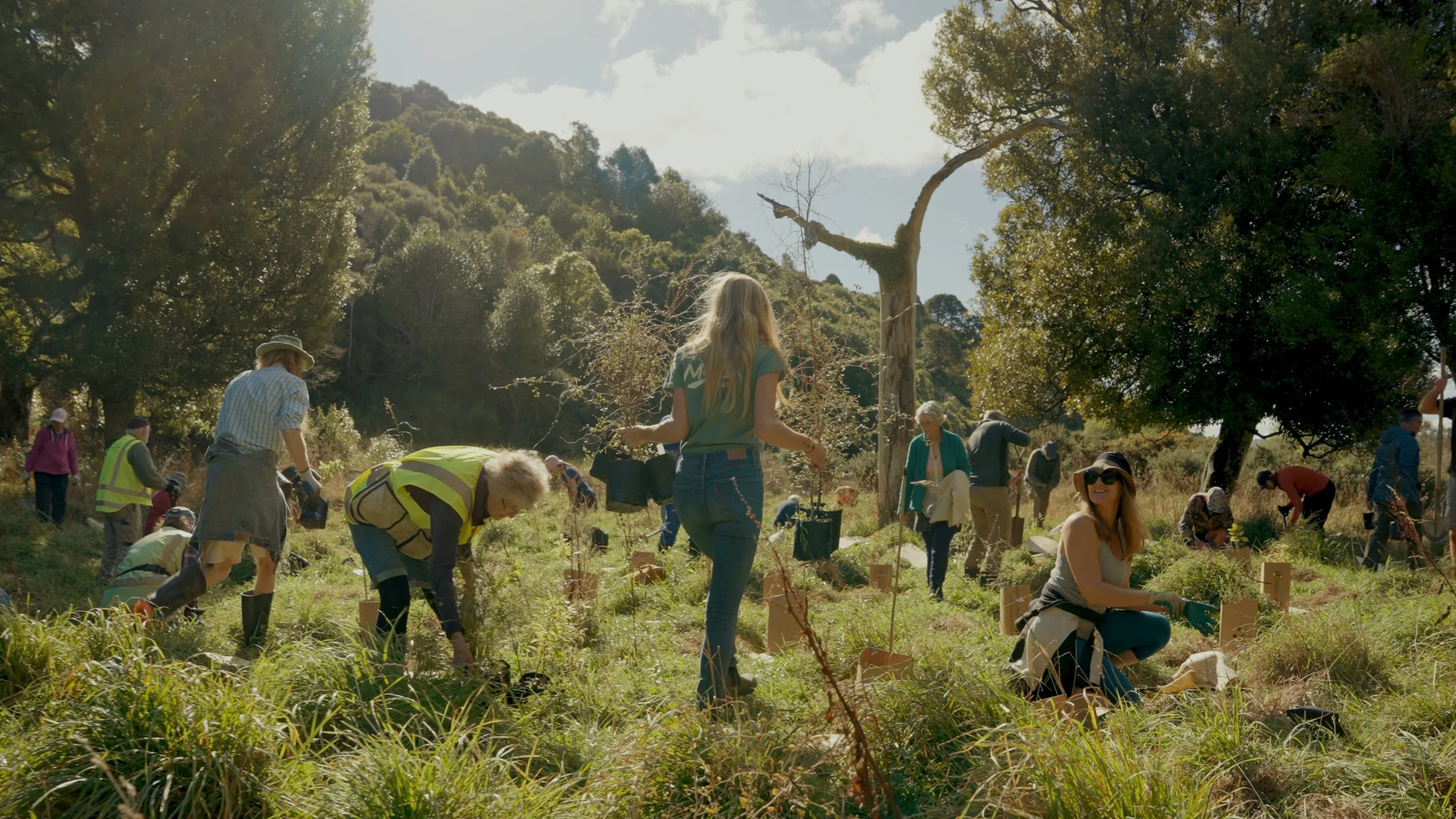 Tree Planting Day & Predator Free Mangaroa Network