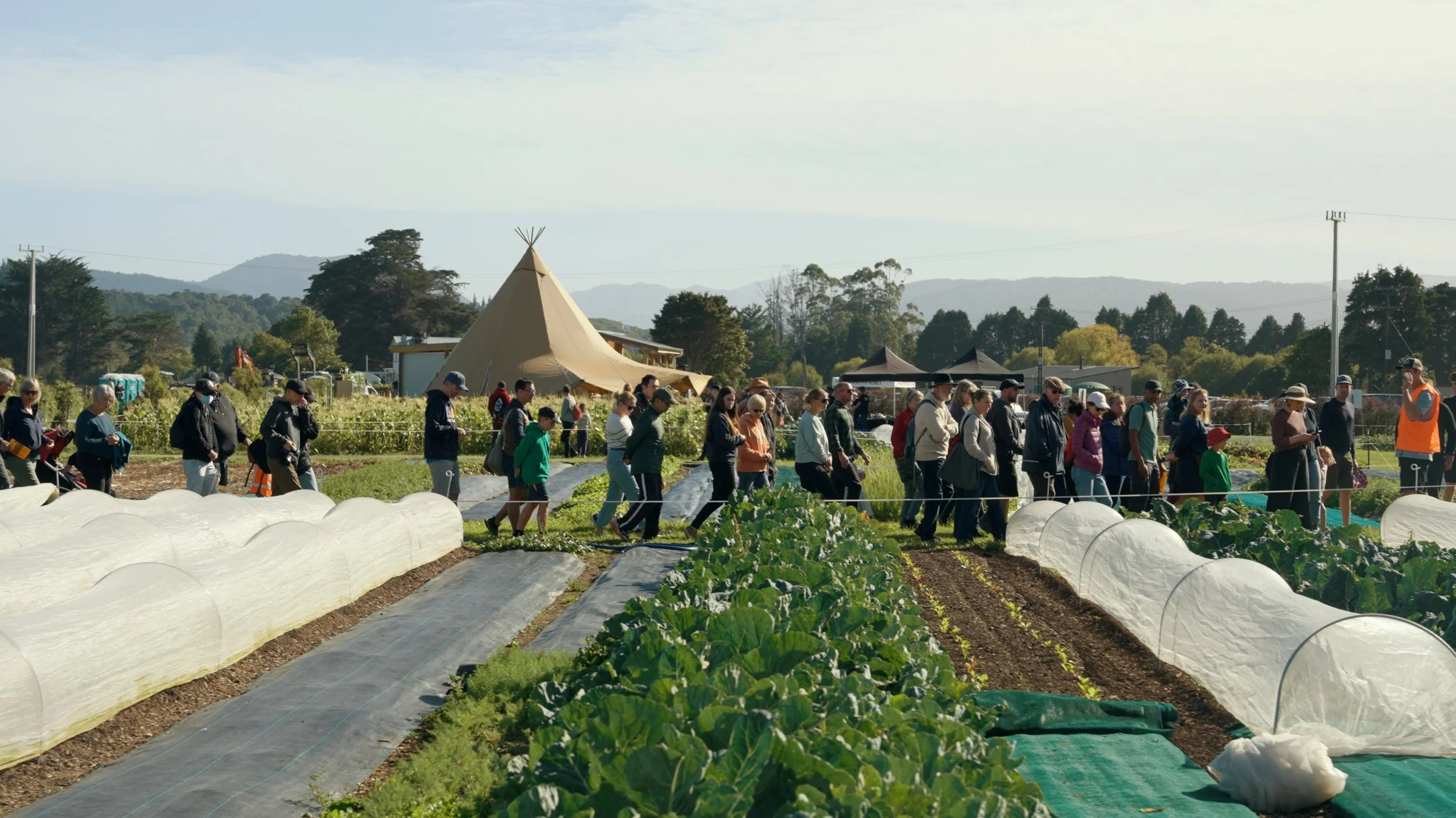 wellingtons-market-garden-07.jpg