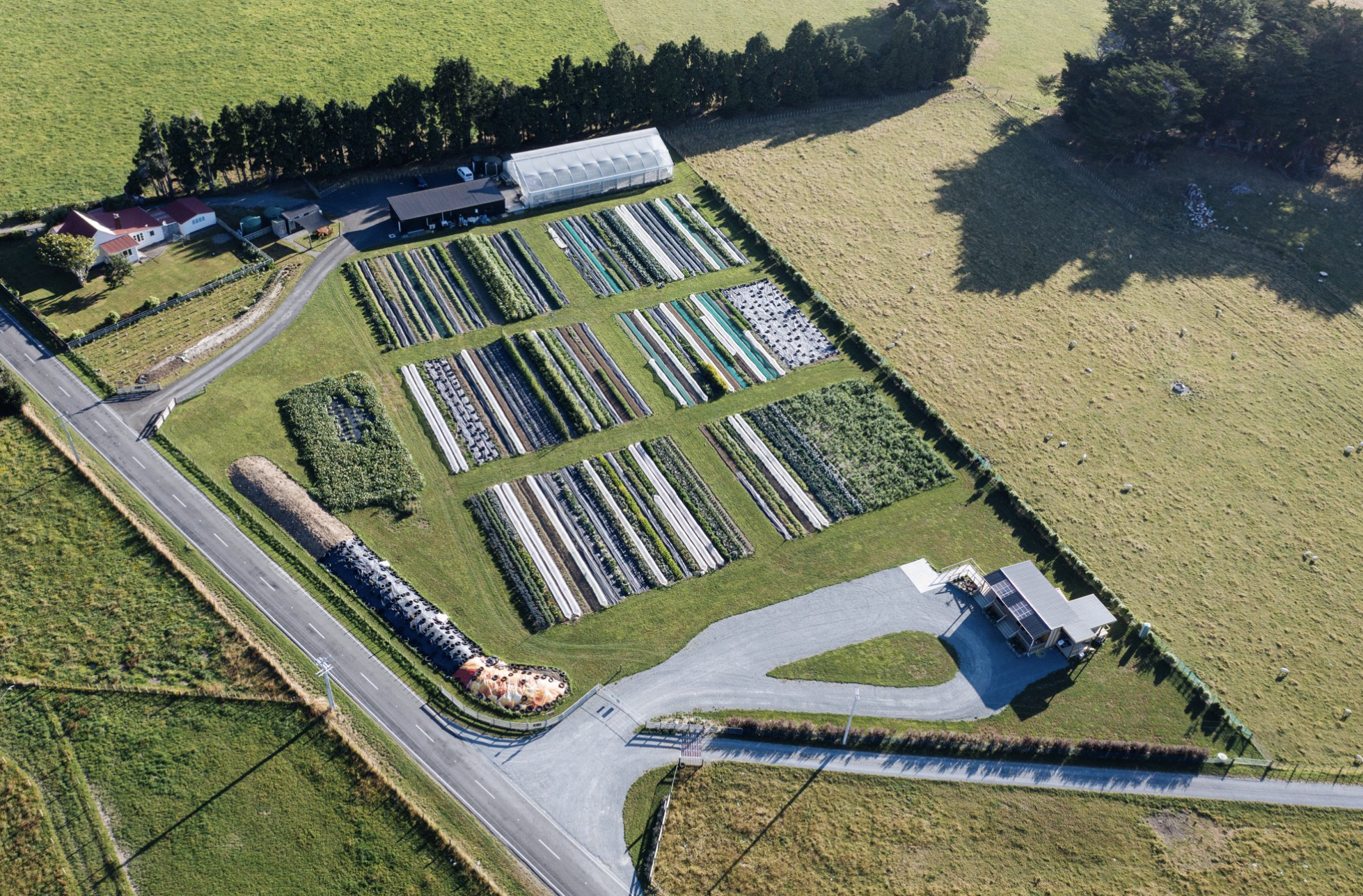 Wellington’s Market Garden