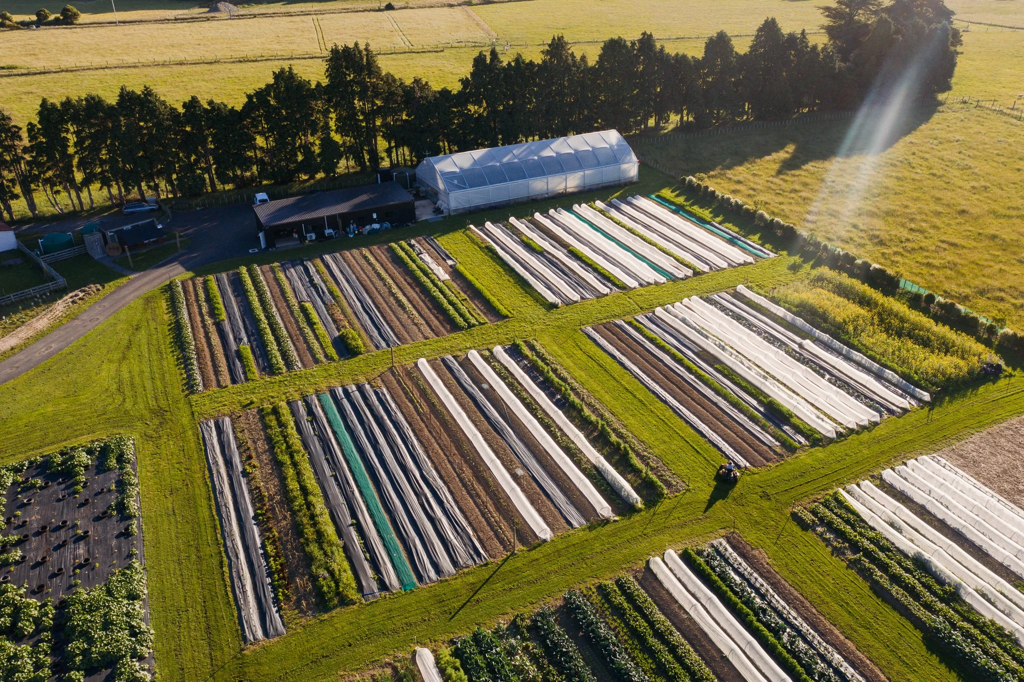 were-hiring-a-market-garden-intern-01.jpg