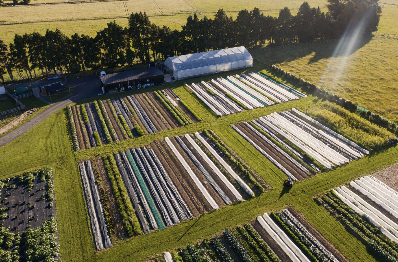 We're Hiring a Market Garden Intern