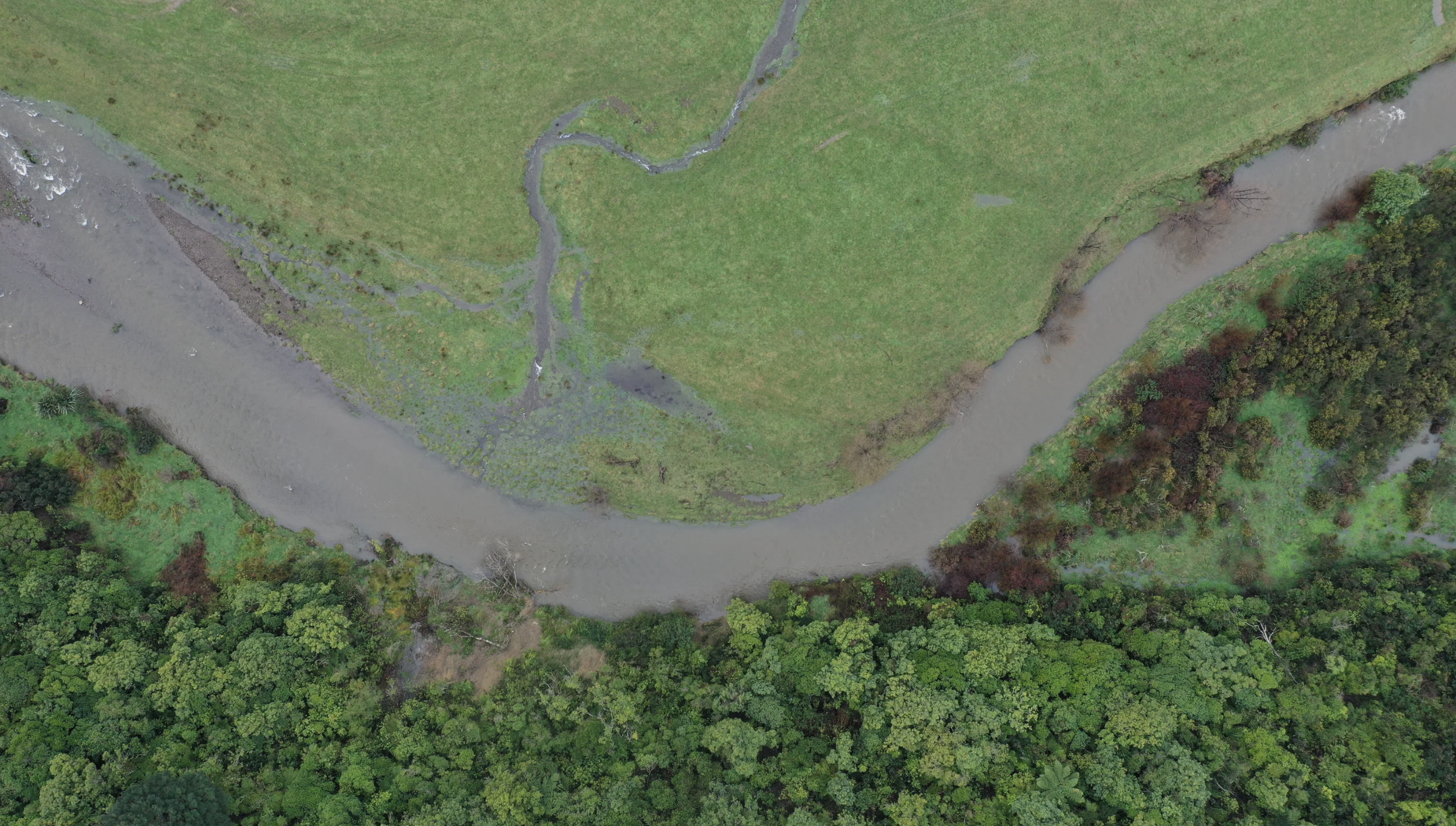 Wetlands, Soil & Resilience