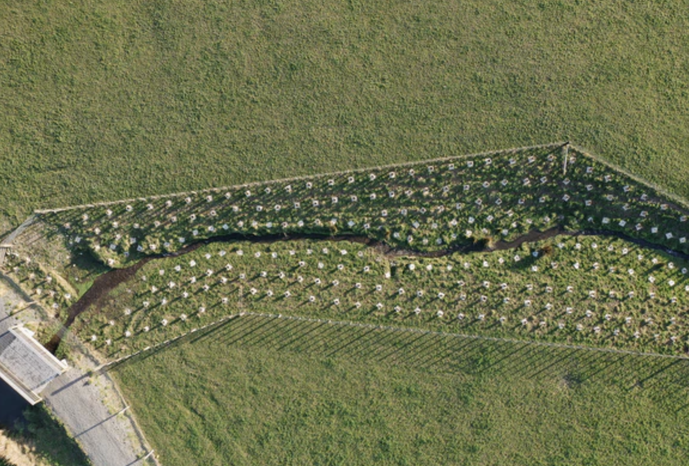 winter-riparian-planting-2023-03.png