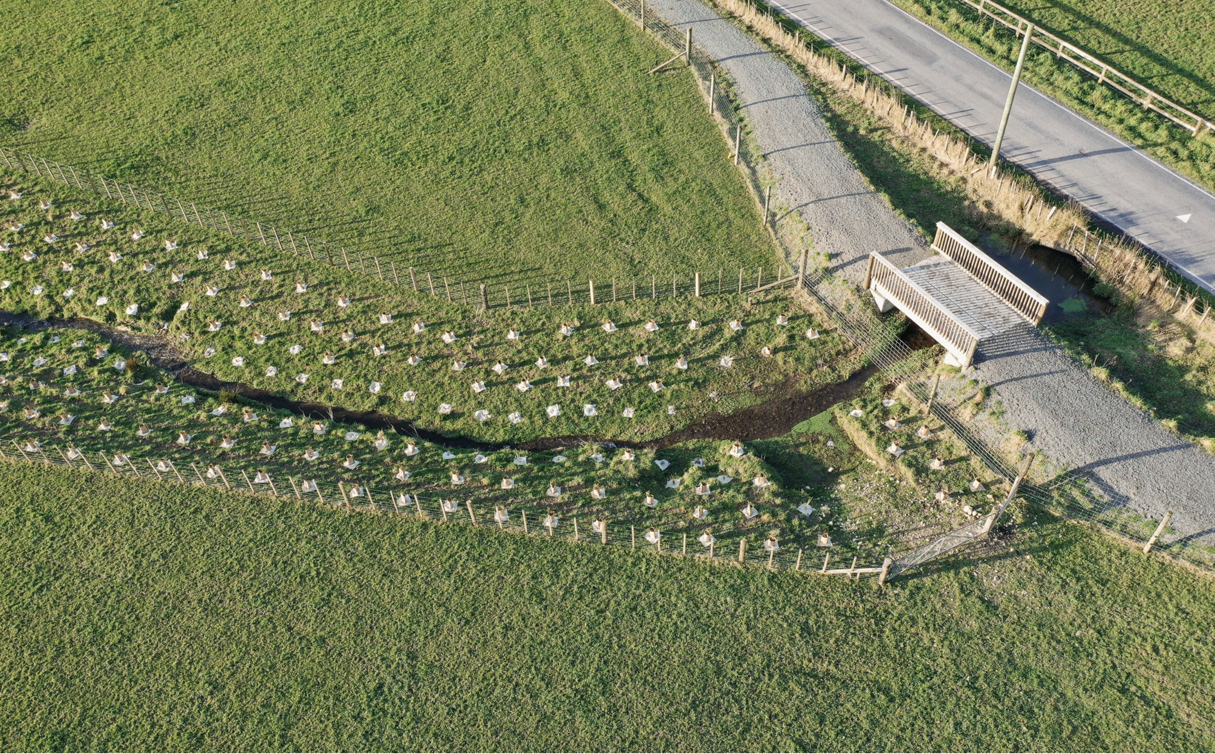 Winter Riparian Planting 2023
