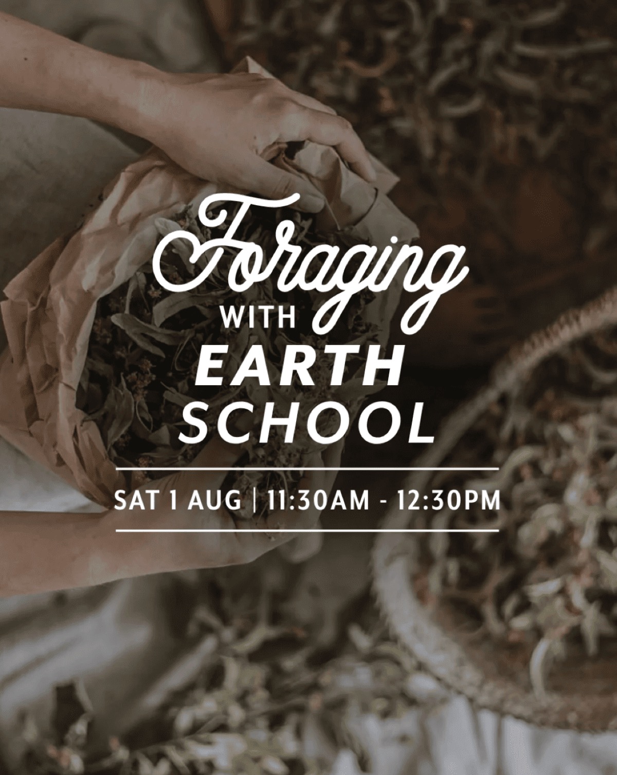Foraging with Earth School Aotearoa