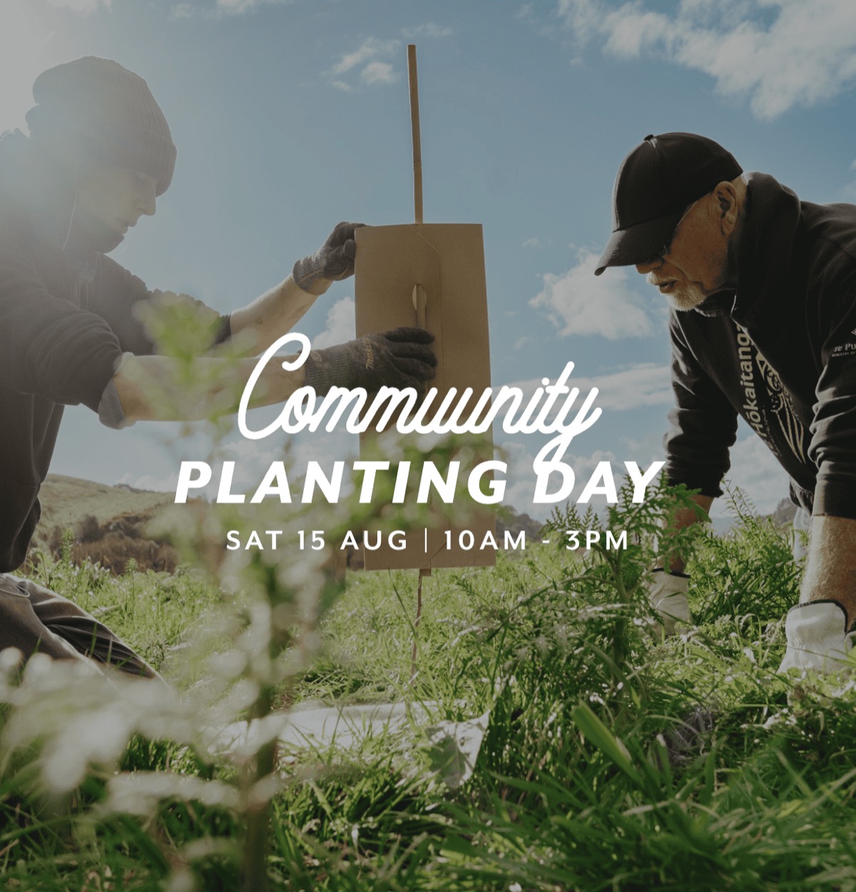 Community Planting Day at Mangaroa Farms